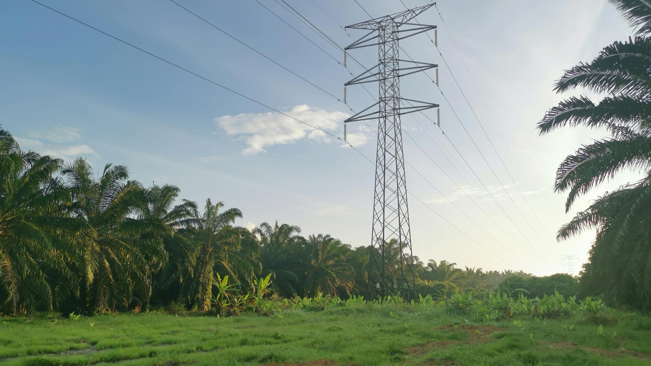 dreamstime_l_233302335