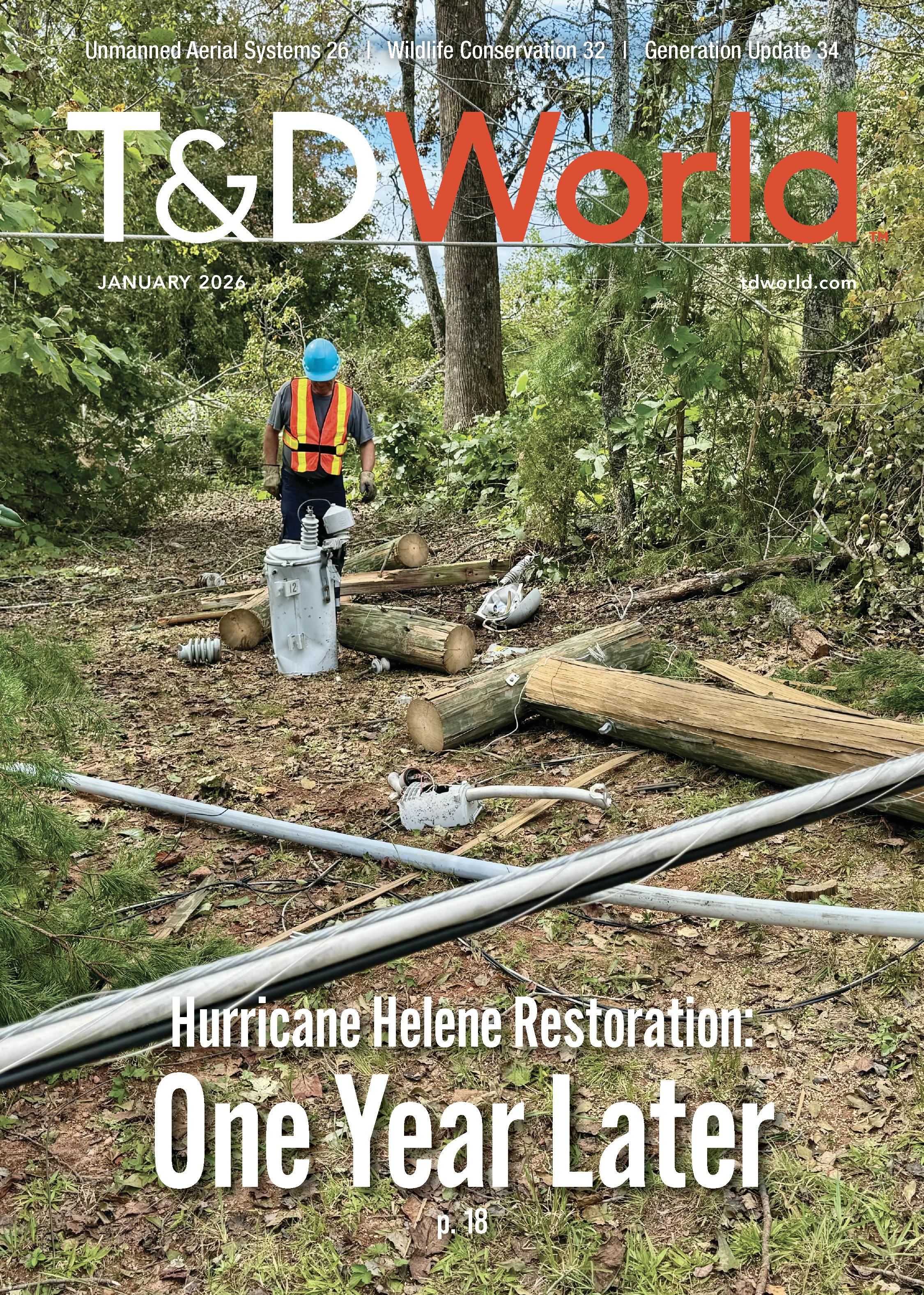 January 2026 cover image