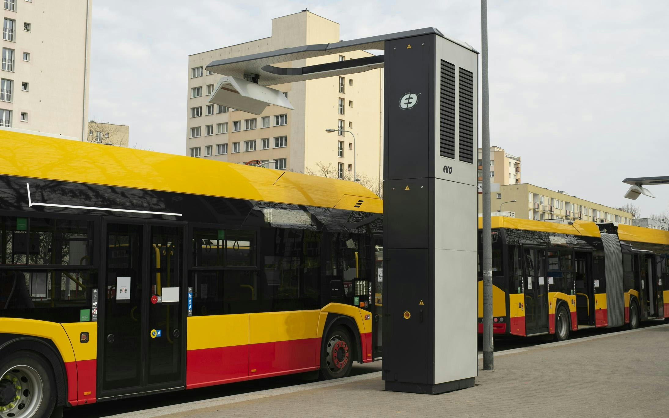 Ecological buses in the city