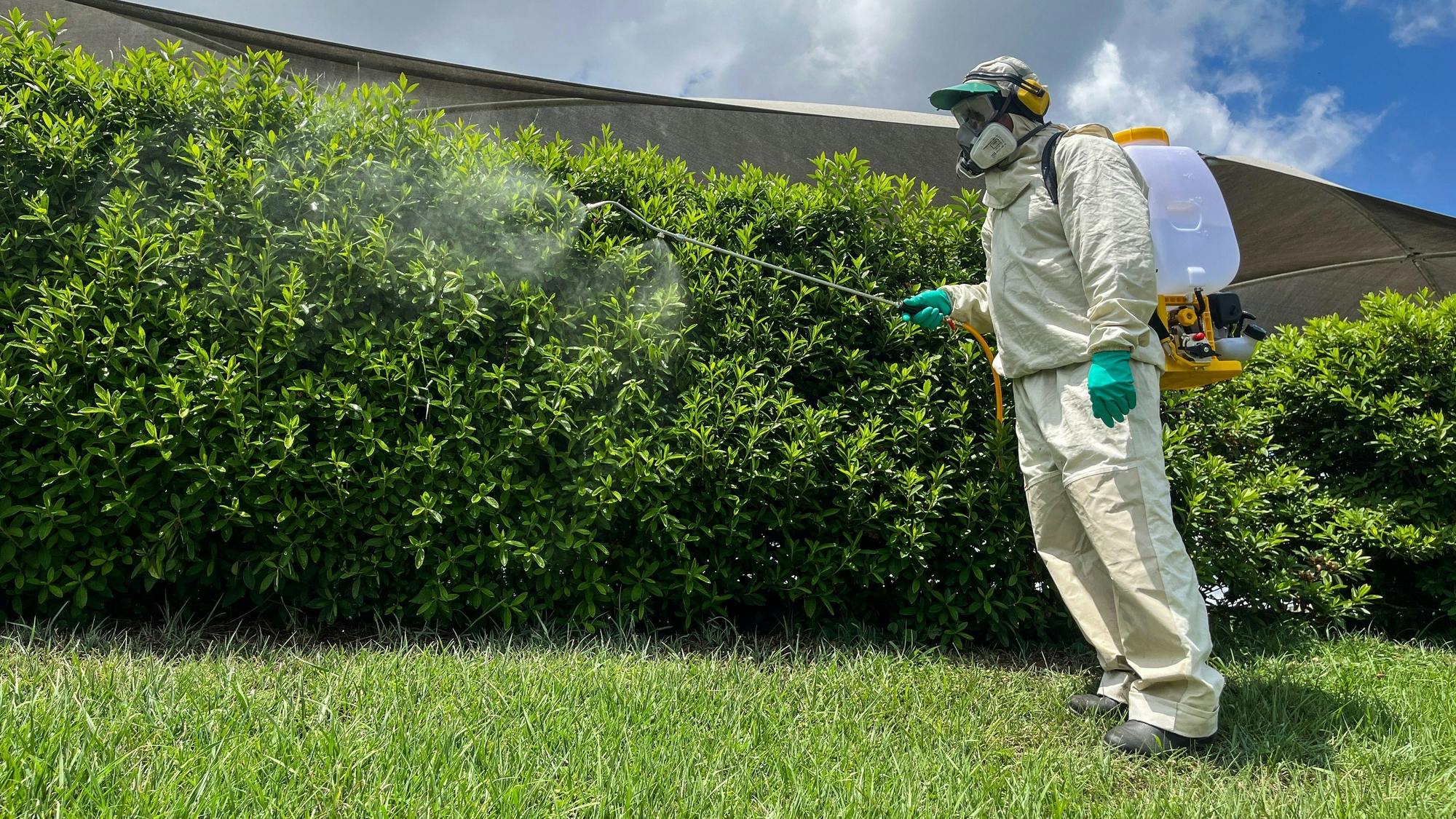 spraying weeds