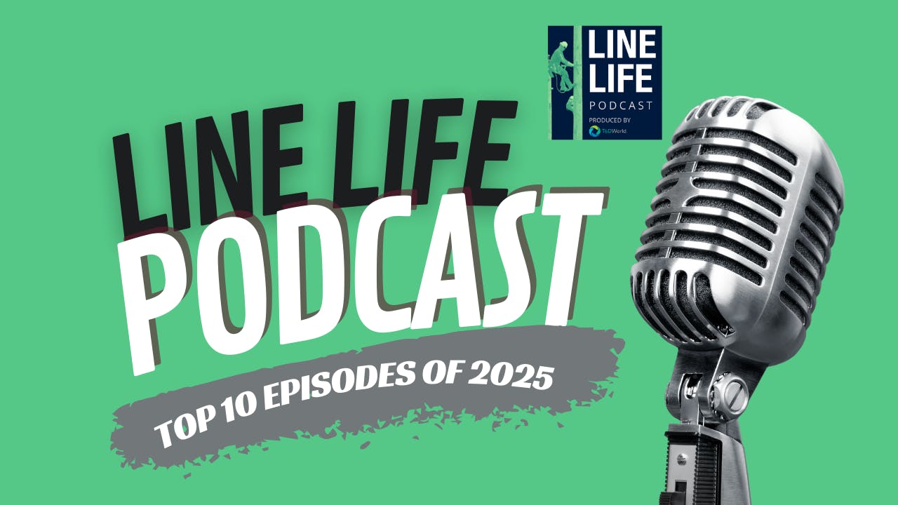 white_brown_minimalist_top_10_beautuful_horse_yout