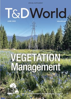 Review the 2025 VM Supplement Review the 2025 VM Supplement