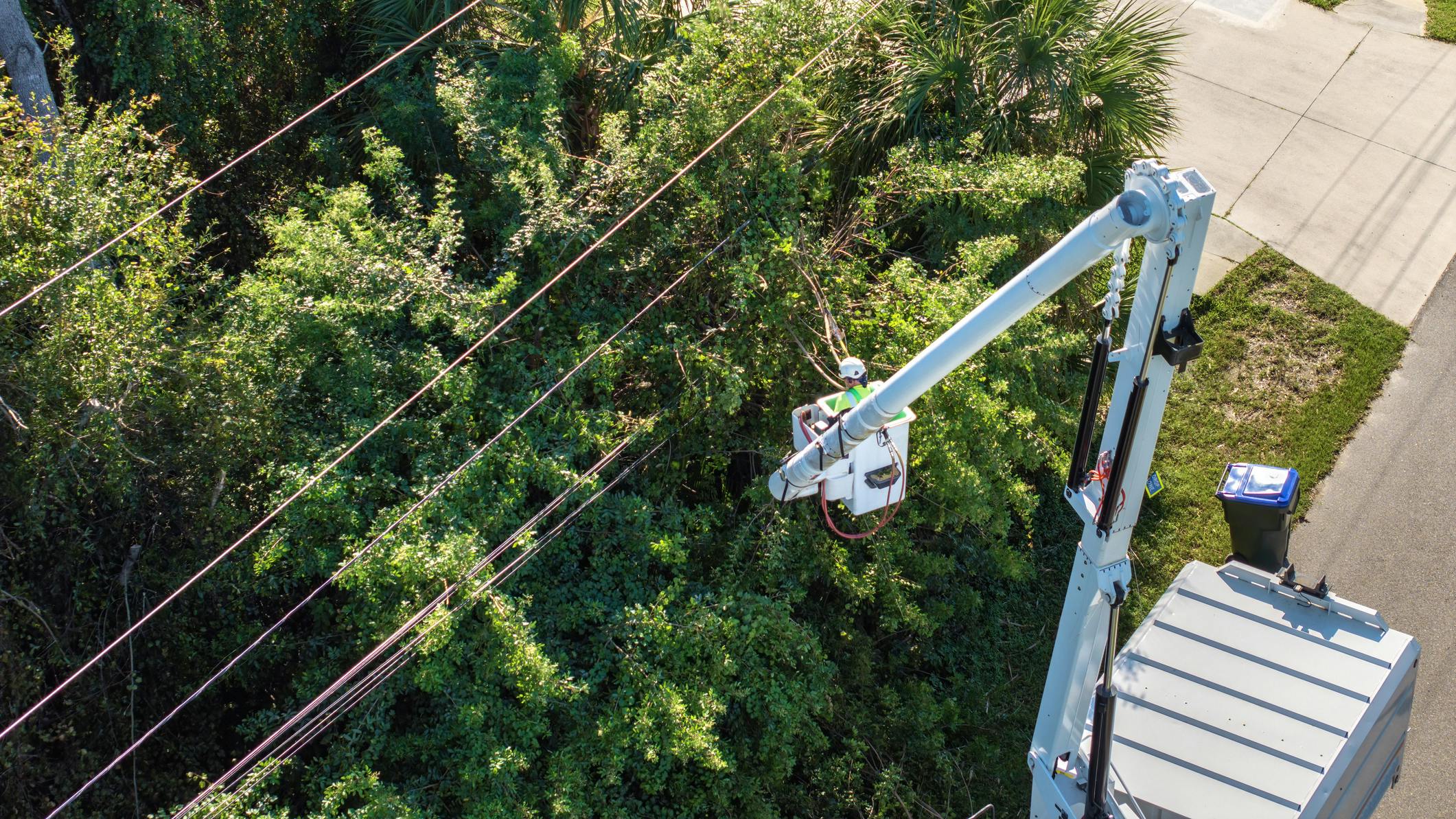 Utility crews performing vegetation management near powerlines