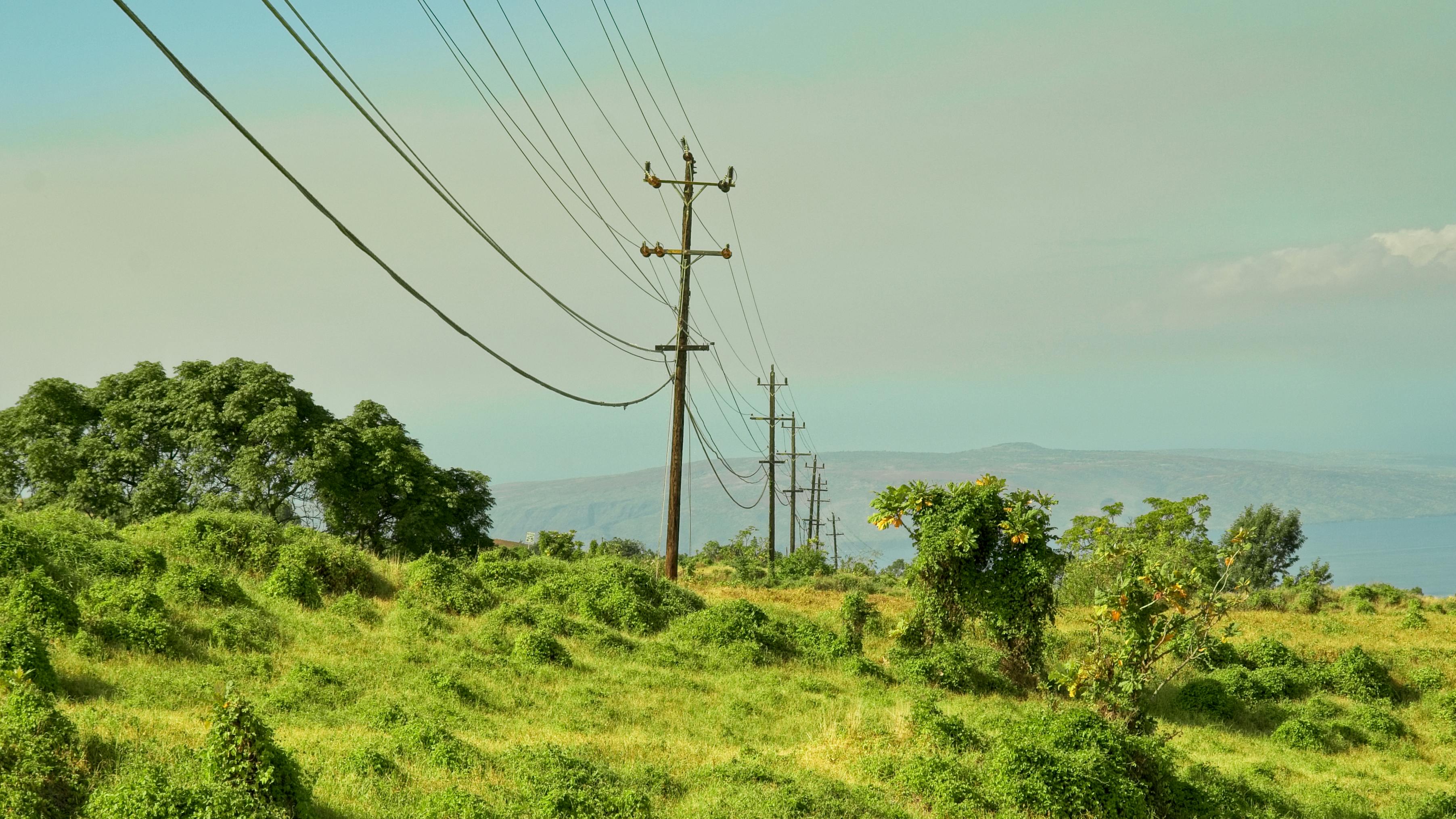 power lines in Maui