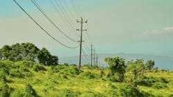 power lines in Maui power lines in Maui