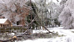 ice damage ice damage