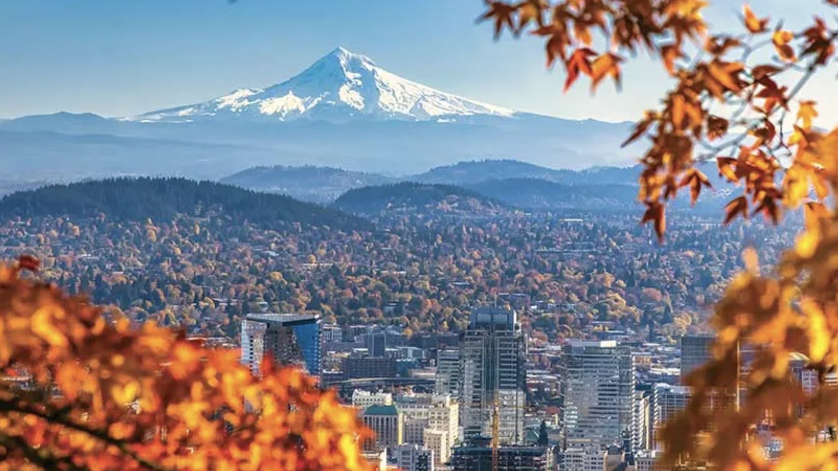 screenshot_20260210_at_9