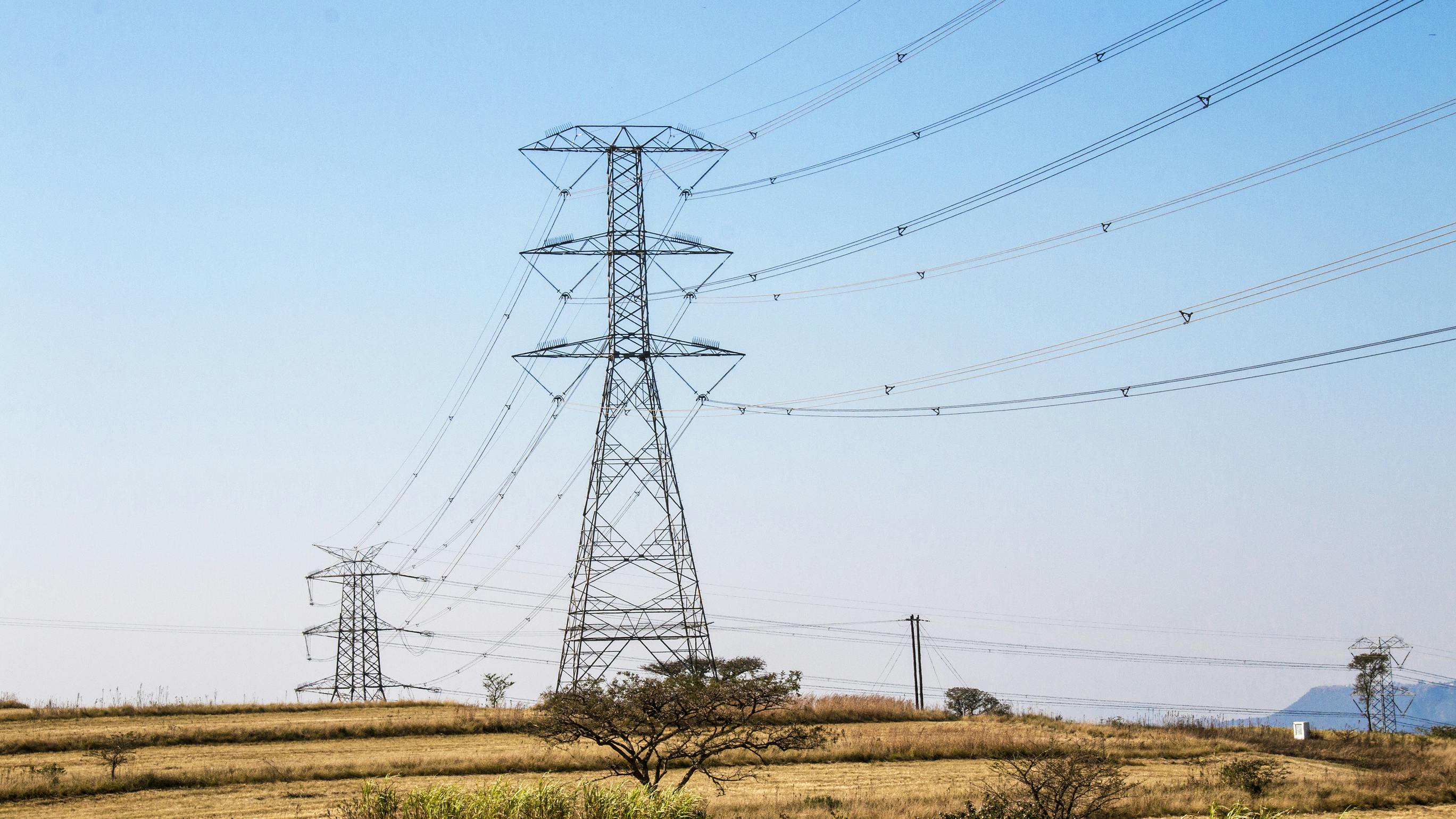 dreamstime_l_95425687