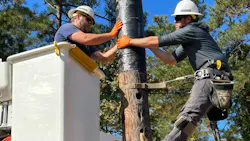 Woodpecker damage is visible on lower section of pole.