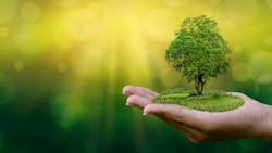 69a0a4d937cec86a0165c376 Dreamstime Xxl 122119019 69a0a4d937cec86a0165c376 Dreamstime Xxl 122119019