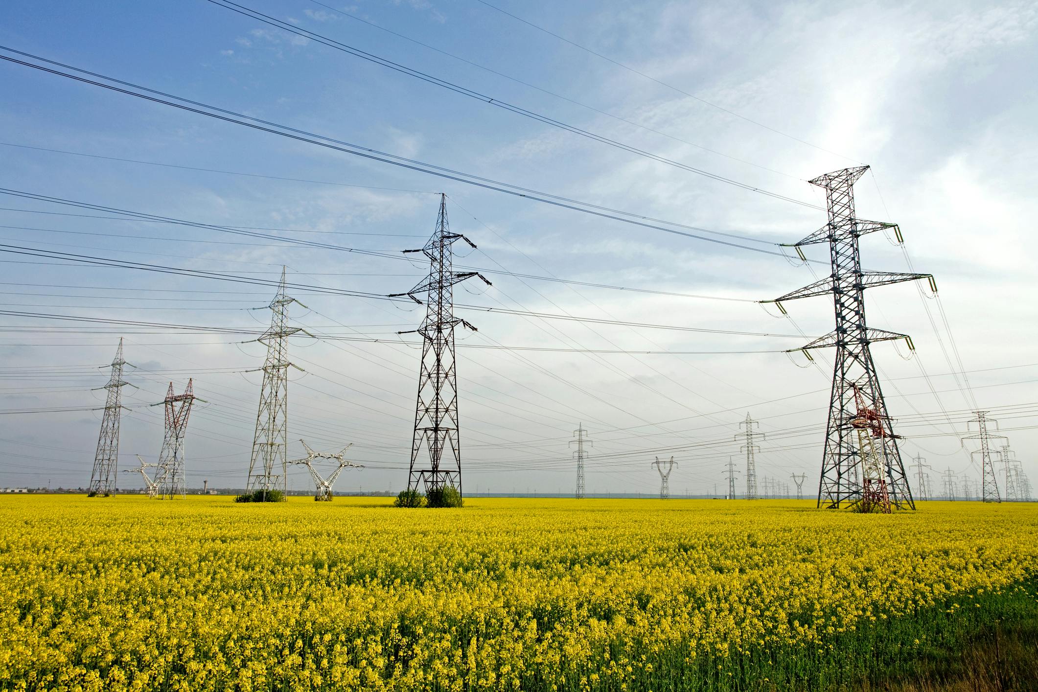 69a86c10bbe478e31d51aef5 Dreamstime M 9077140