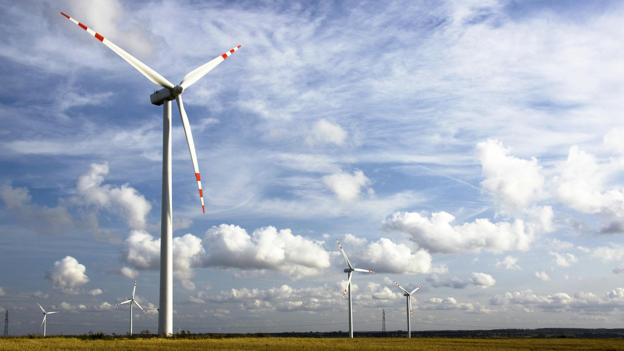 Wind farm in a rural area.