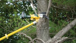 69aeef049c23199ee268a04b G Remote Pruner Action 69aeef049c23199ee268a04b G Remote Pruner Action