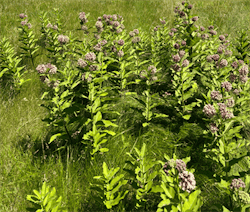 20260203_140138_28233 20260203_140138_28233