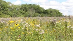 69aef75127f8668899bd3c12 20260211 120052 16007 69aef75127f8668899bd3c12 20260211 120052 16007