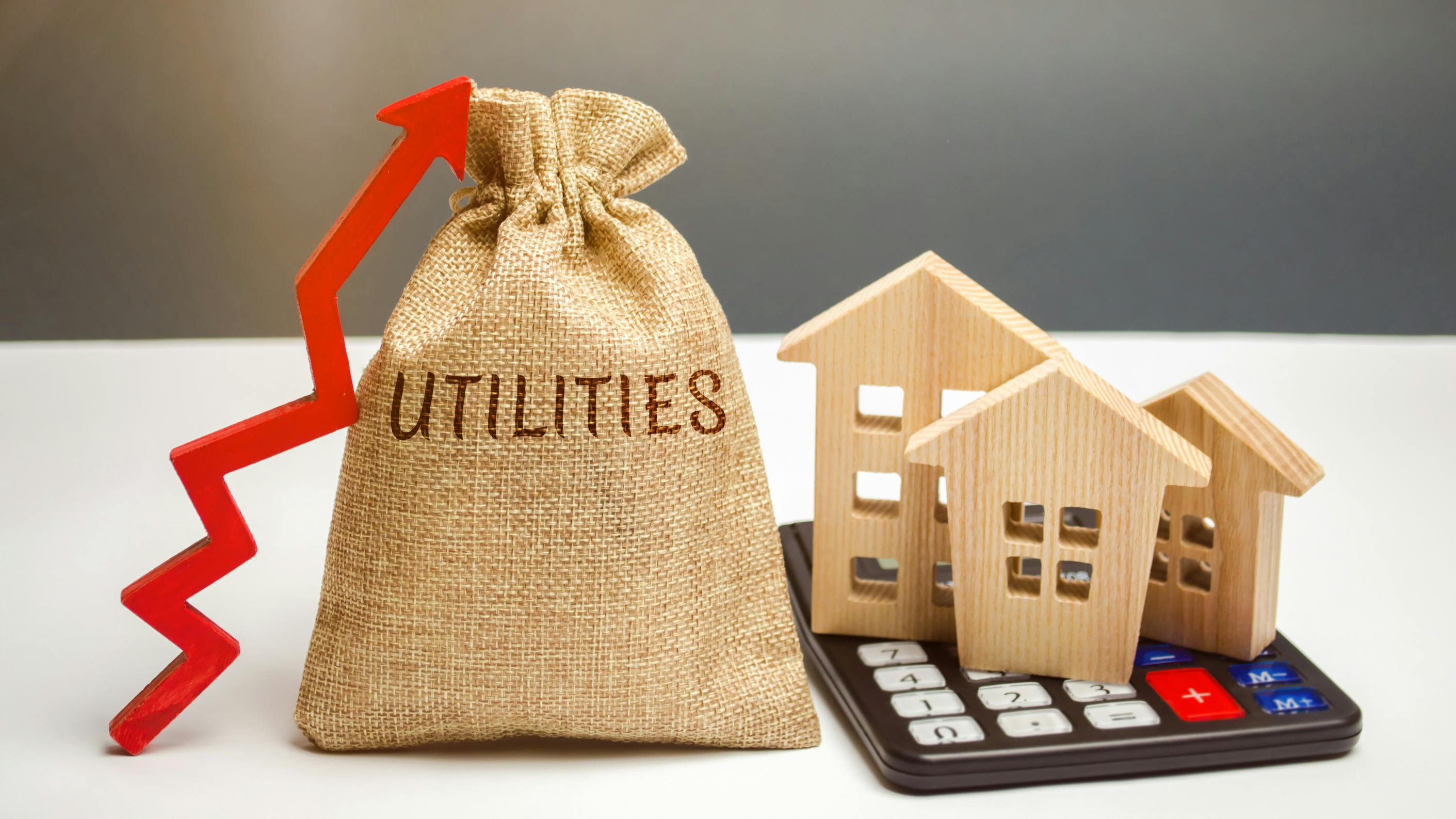 69bb03f79560a69396e539cc Dreamstime L 137913804