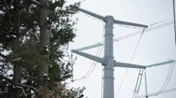 69bc3d7a19d3263d29468cf7 Hds6z2xuaaybwh 69bc3d7a19d3263d29468cf7 Hds6z2xuaaybwh