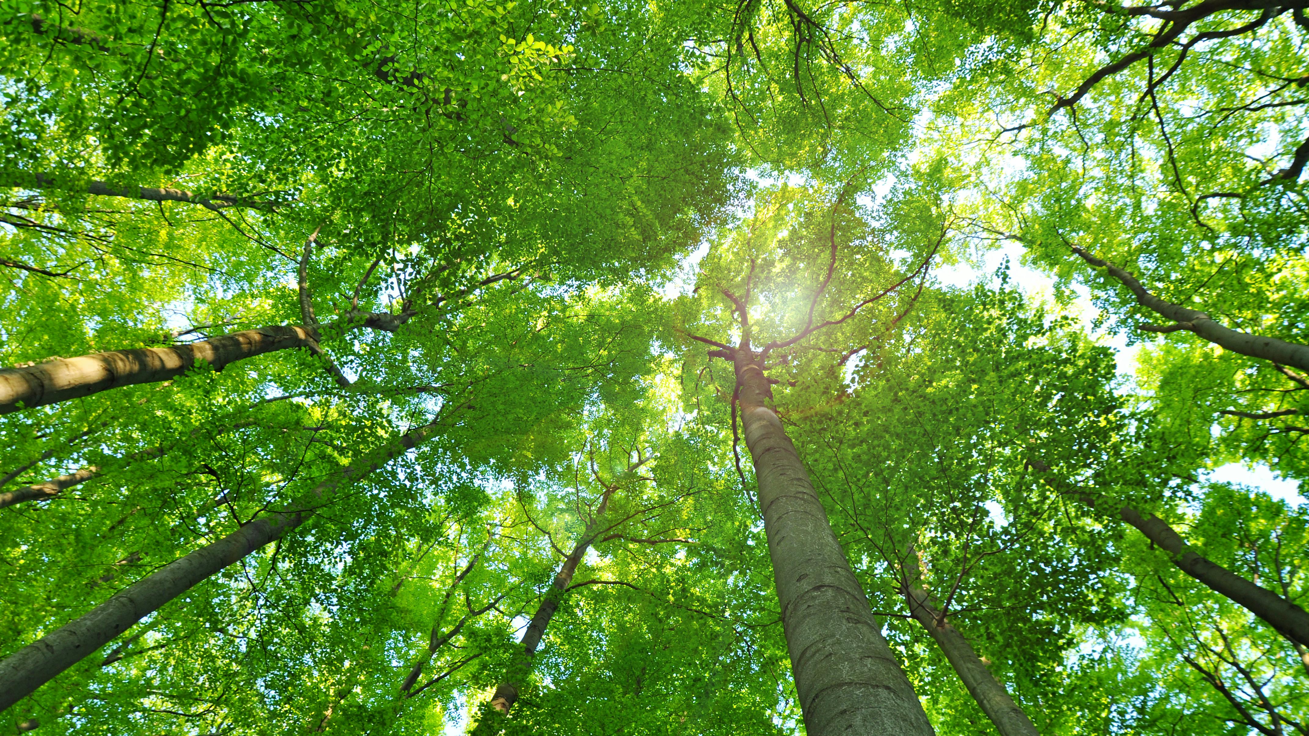 69c29f06c77760b7d562abfc Dreamstime Xxl 42907586