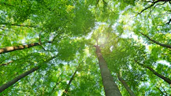 69c29f06c77760b7d562abfc Dreamstime Xxl 42907586 69c29f06c77760b7d562abfc Dreamstime Xxl 42907586