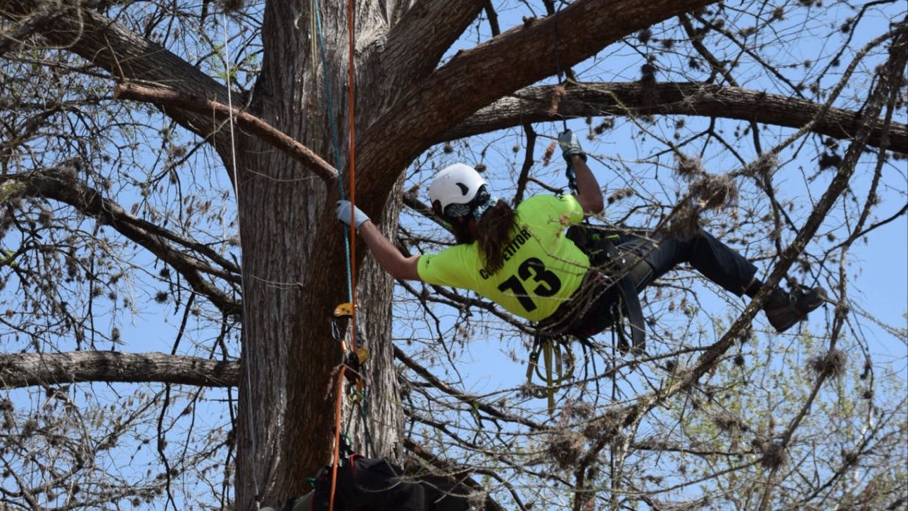 69c2d90f478fb1b806c79298 583237513 1247337080753378 2832819846646212117 N