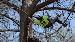 69c2d90f478fb1b806c79298 583237513 1247337080753378 2832819846646212117 N 69c2d90f478fb1b806c79298 583237513 1247337080753378 2832819846646212117 N