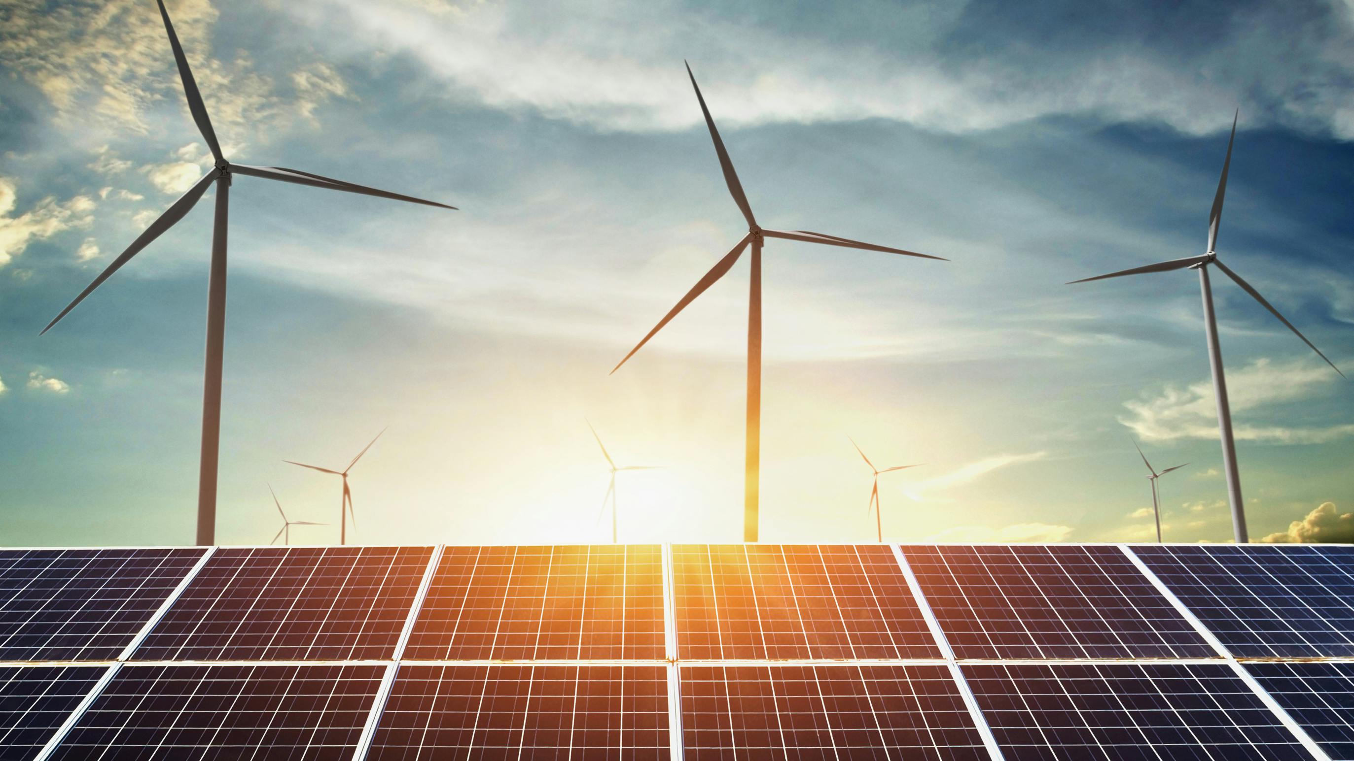 dreamstime_l_113486611