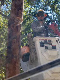 worker finishes a cut with a saw worker finishes a cut with a saw