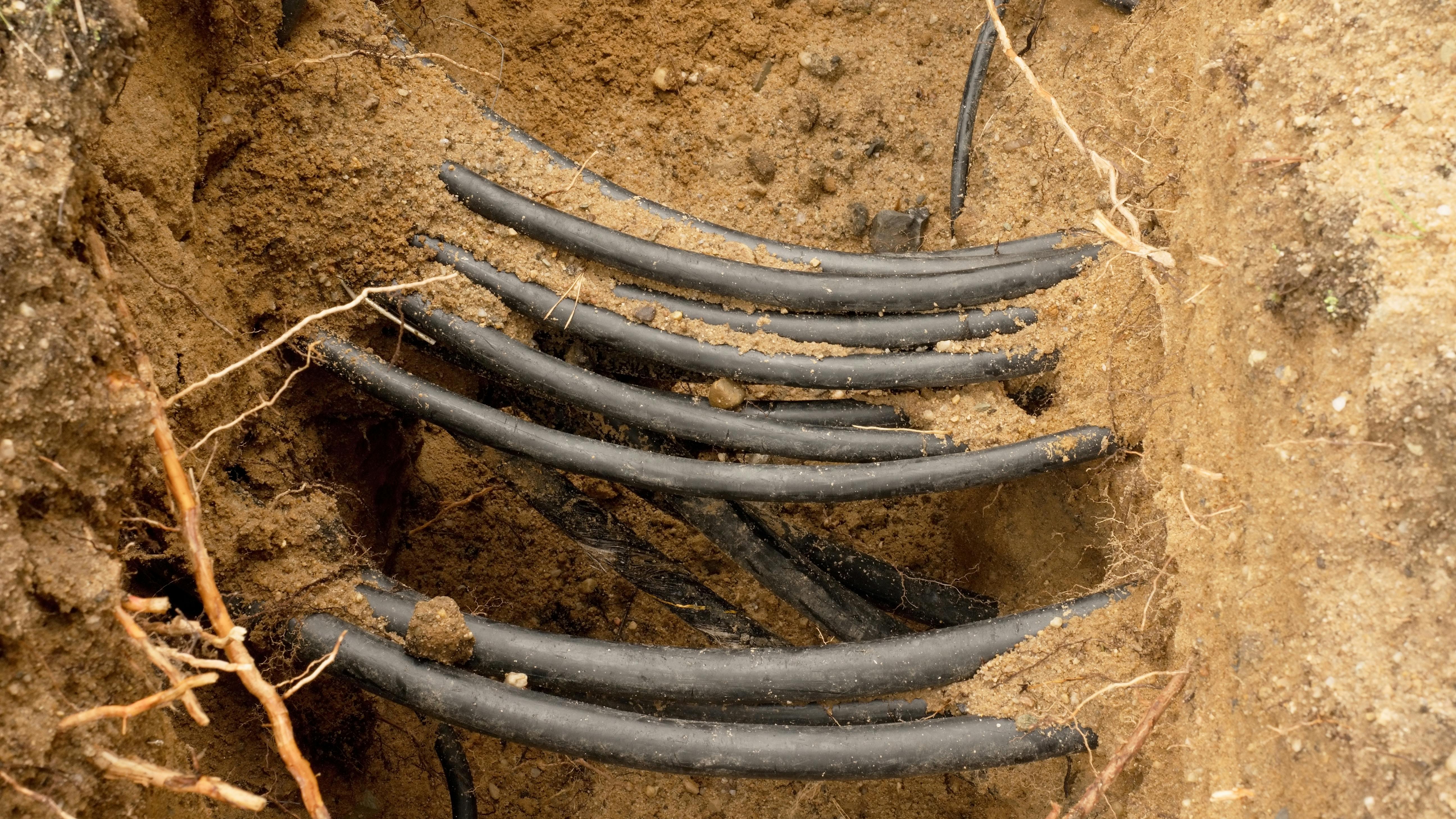 dreamstime_xxl_77600949