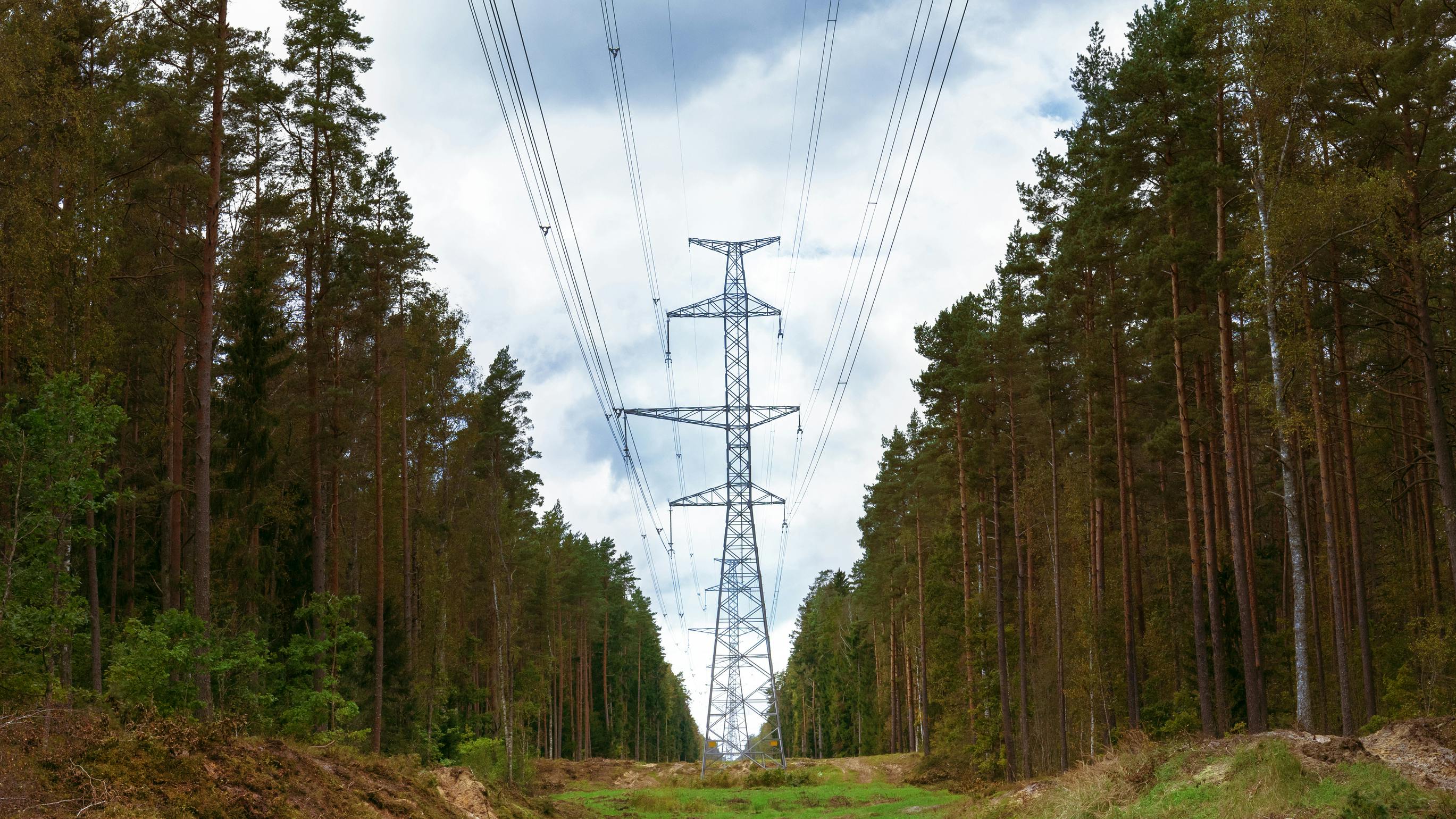 69de783c35636cd728e269ad Dreamstime L 413092419