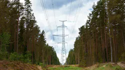 69de783c35636cd728e269ad Dreamstime L 413092419 69de783c35636cd728e269ad Dreamstime L 413092419