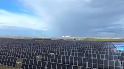plant_x_solar_mid