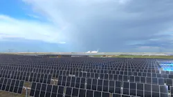 69e1567a904f919eb4590262 Plant X Solar Mid 69e1567a904f919eb4590262 Plant X Solar Mid