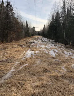 Targeted clearing restored safe clearances and put high-risk corridors back into the maintenance cycle, as shown in this after photo. Targeted clearing restored safe clearances and put high-risk corridors back into the maintenance cycle, as shown in this after photo.