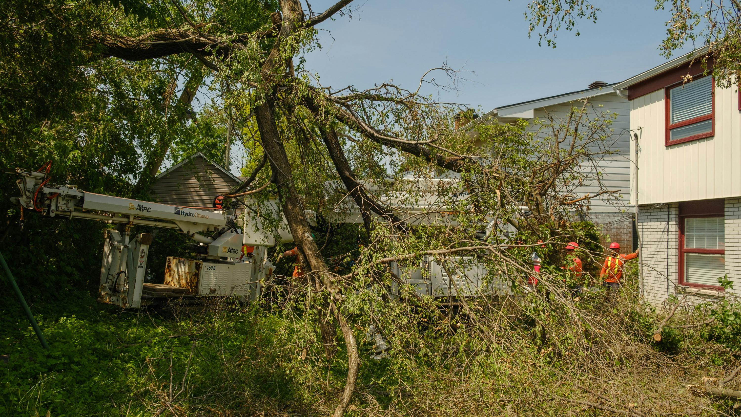 The strong winds from the derecho damaged trees in Hydro Ottawa's customers' yards and throughout the region.