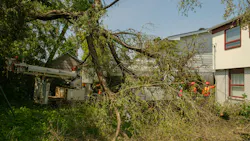 The strong winds from the derecho damaged trees in Hydro Ottawa's customers' yards and throughout the region.