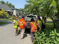 The Hydro Ottawa and Overstory teams validate results in the field, including a hazard tree identified by Overstory's analysis.