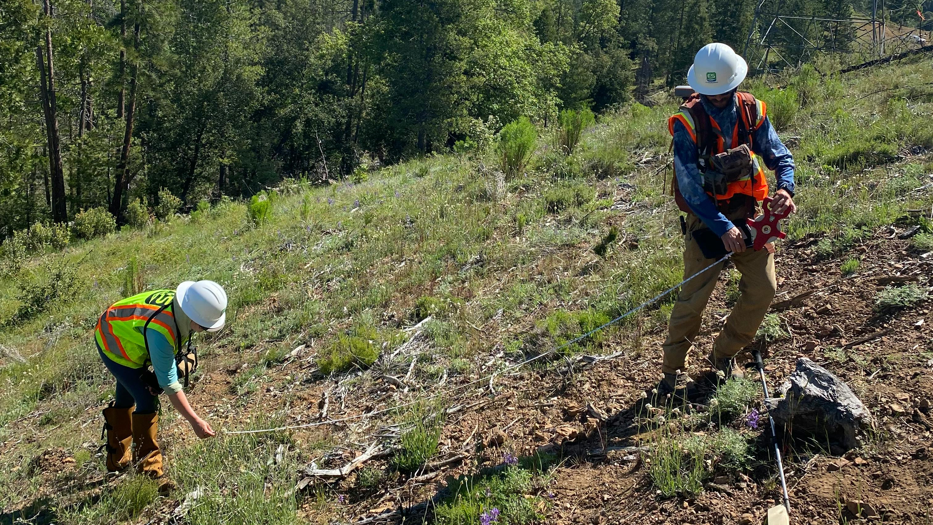 EnviroScience team members Michael Whitacre and Carlyn Rocazella establish a sampling subplot within the right-of-way to document vegetation composition during BIOaudit field assessments.