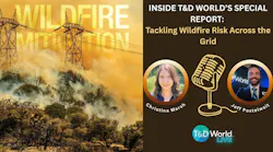 tdw_wildfire tdw_wildfire