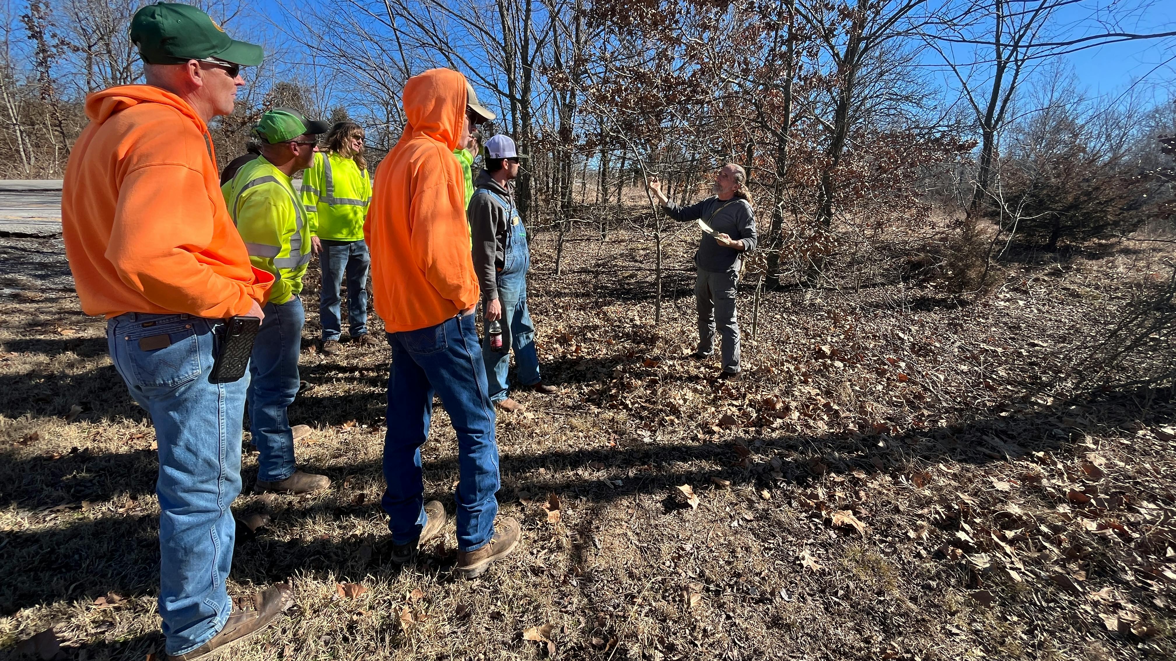 Contractors participate in winter plant identification training to build skills to accurately identify dormant species and maintain high-quality vegetation management year-round.