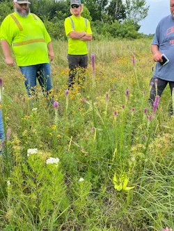 Crews study Milkweed, Coreopsis and Liatris in the field to identify compatible vegetation.