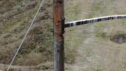 Damage from a bird is seen near an arm mount. Damage from a bird is seen near an arm mount.