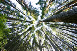 69efbf31e09bb92b66e0673f Dreamstime L 8719614 69efbf31e09bb92b66e0673f Dreamstime L 8719614