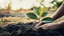 69f0c6e3ff976c7c7b4dbfb3 Firstenergy Pennsylvania Giving Away Trees 69f0c6e3ff976c7c7b4dbfb3 Firstenergy Pennsylvania Giving Away Trees