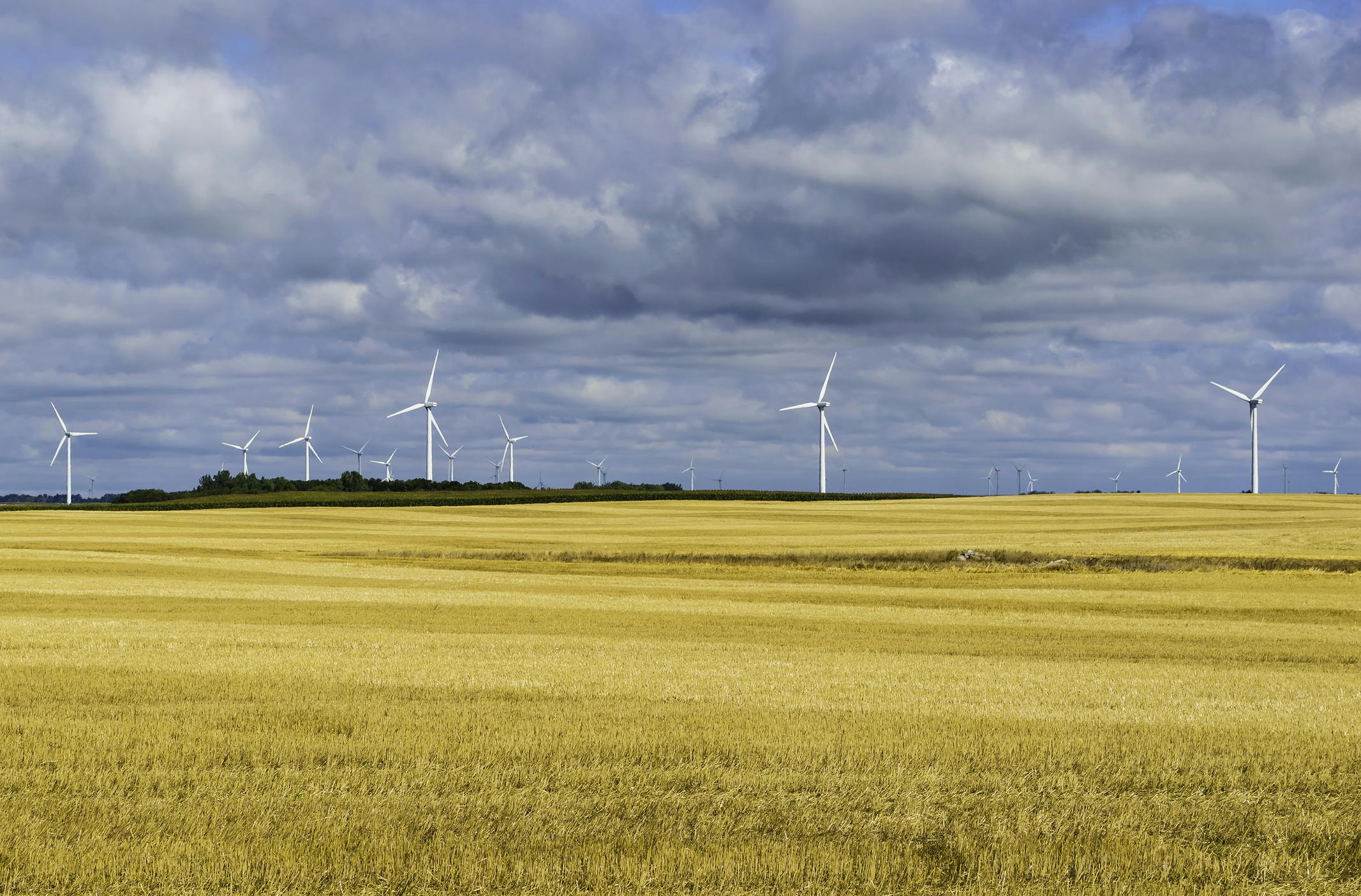 A North Dakota wind farm.