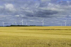 A North Dakota wind farm. A North Dakota wind farm.