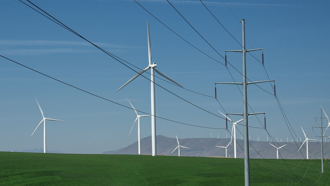 69fd22c62716eb8e820b73b4 Por Wires And Wind 1