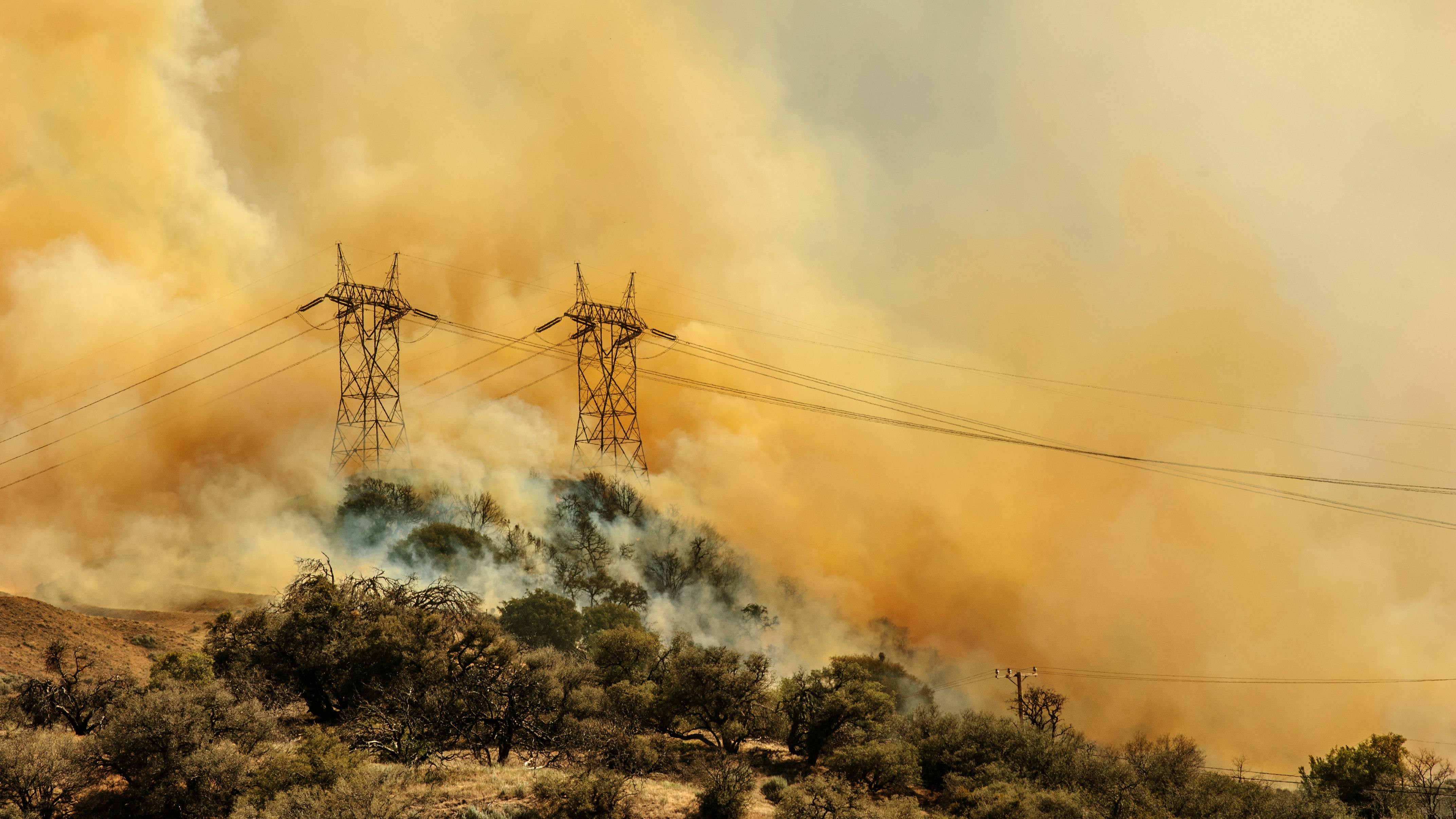 gettyimages2265175872