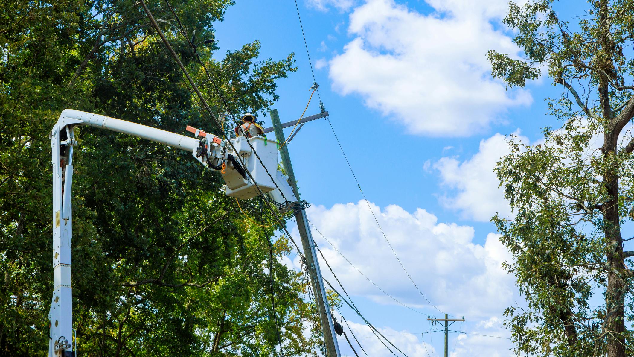 distribution line with worker