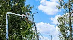 distribution line with worker