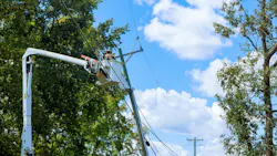 distribution line with worker